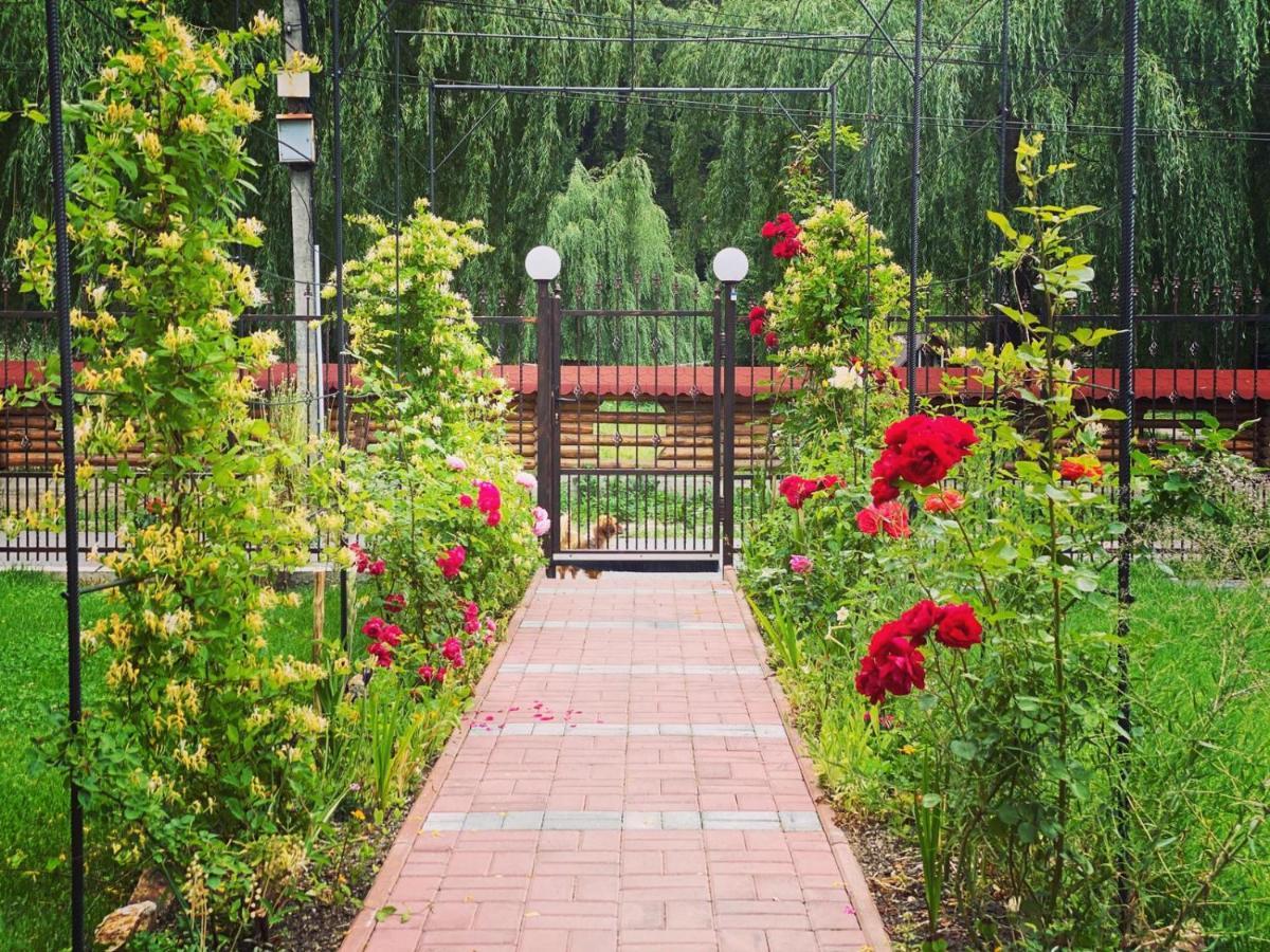 Maison Platanus Войняса Экстерьер фото
