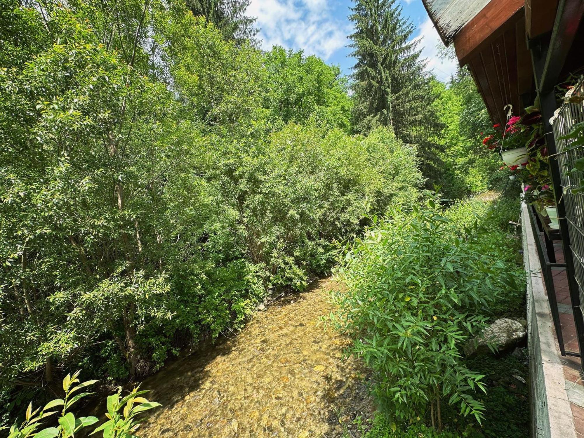 Maison Platanus Войняса Экстерьер фото